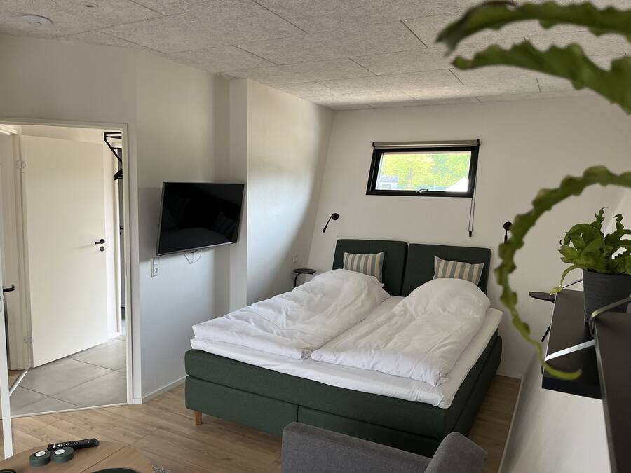 Une chambre à coucher avec un lit, un téléviseur fixé au mur, une fenêtre et une plante.