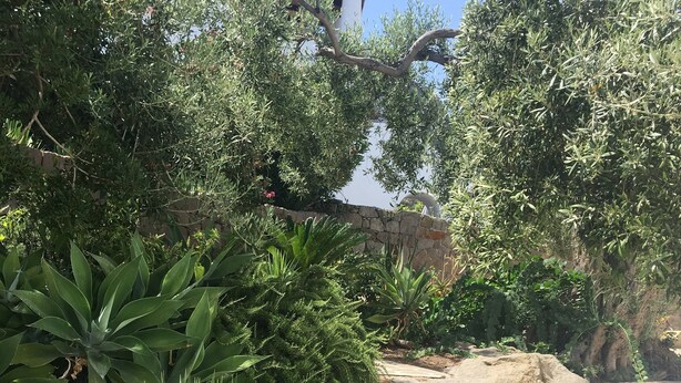 A stone staircase surrounded by lush greenery and a stone wall. - Cottage with large garden in the center of Panarea (Panarea)