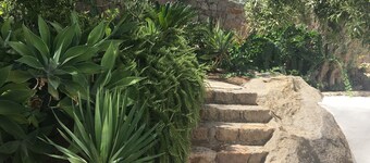 Cottage with large garden in the center of Panarea