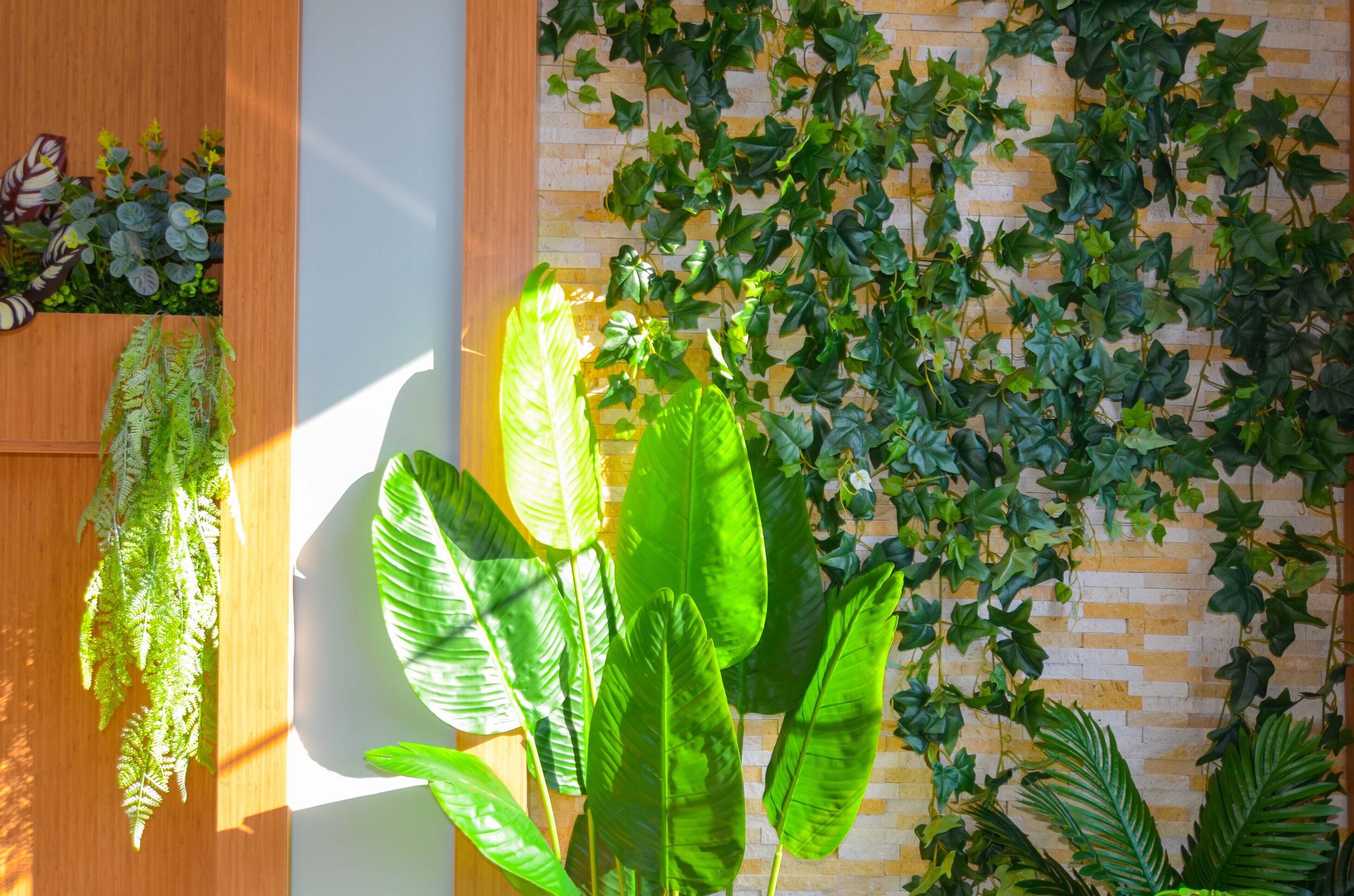 A room with a brick wall, a wooden panel, and various green plants including ferns and large leaves.