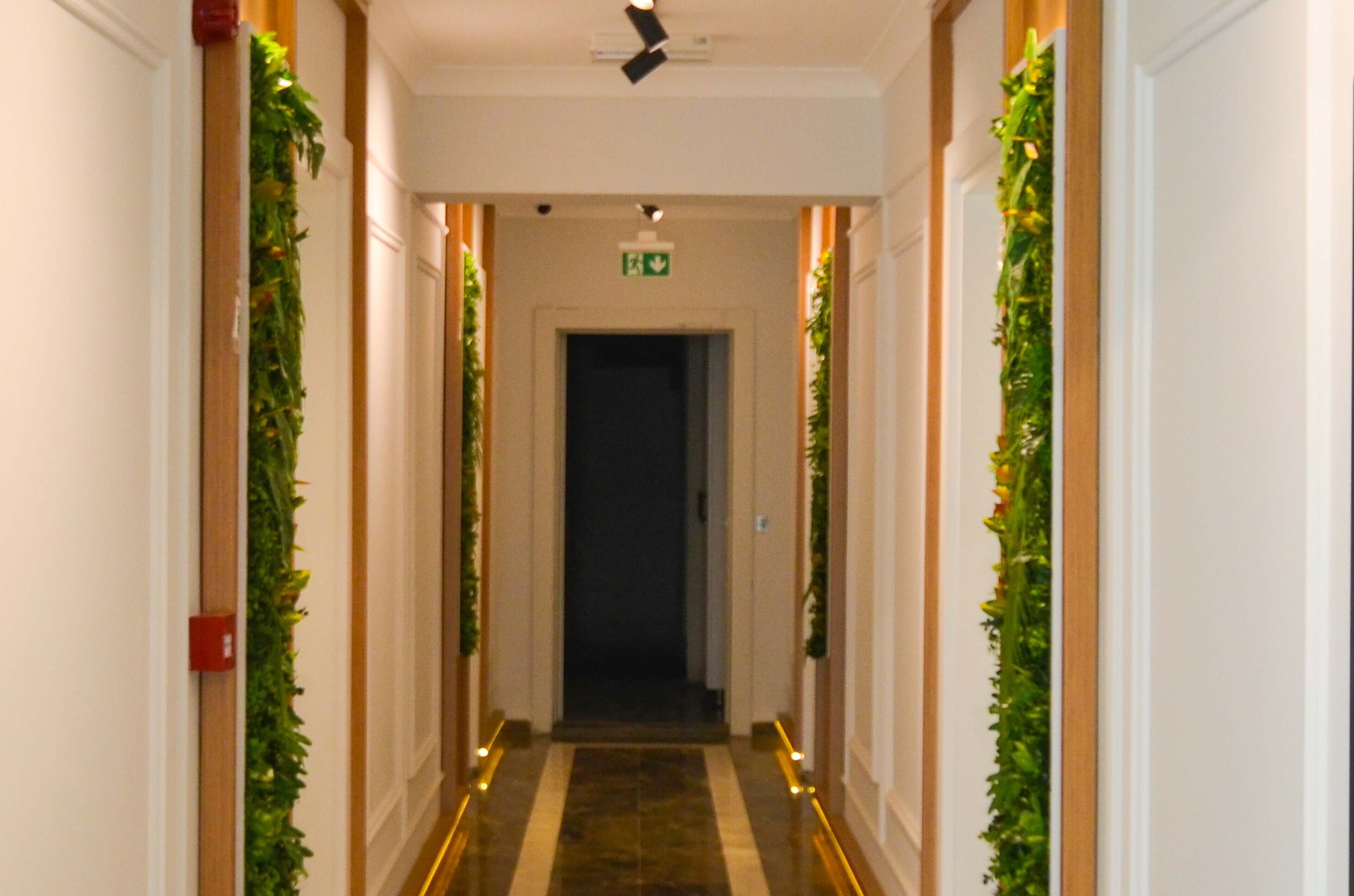 A hallway with a dark floor, white walls, and green foliage decorations on the sides.