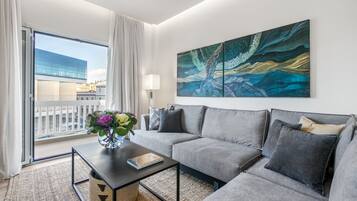 Smart TV, fireplace, books