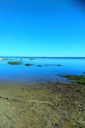 Plage, chaises longues