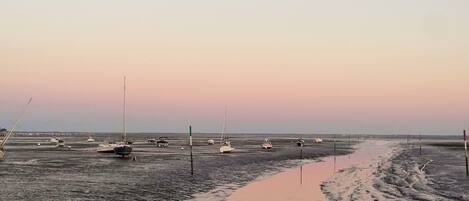 Plage, chaises longues