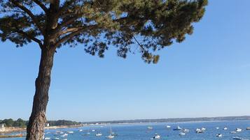 In StrandnĂ€he, StrandtĂŒcher