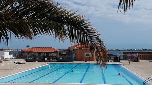 A swimming pool with clear blue water, surrounded by a tiled deck and palm trees. - Spacious 2-Room Apartment with Pool & Sports Facilities, Sleeps 4 – Le Barcarès (Le Barcarès)