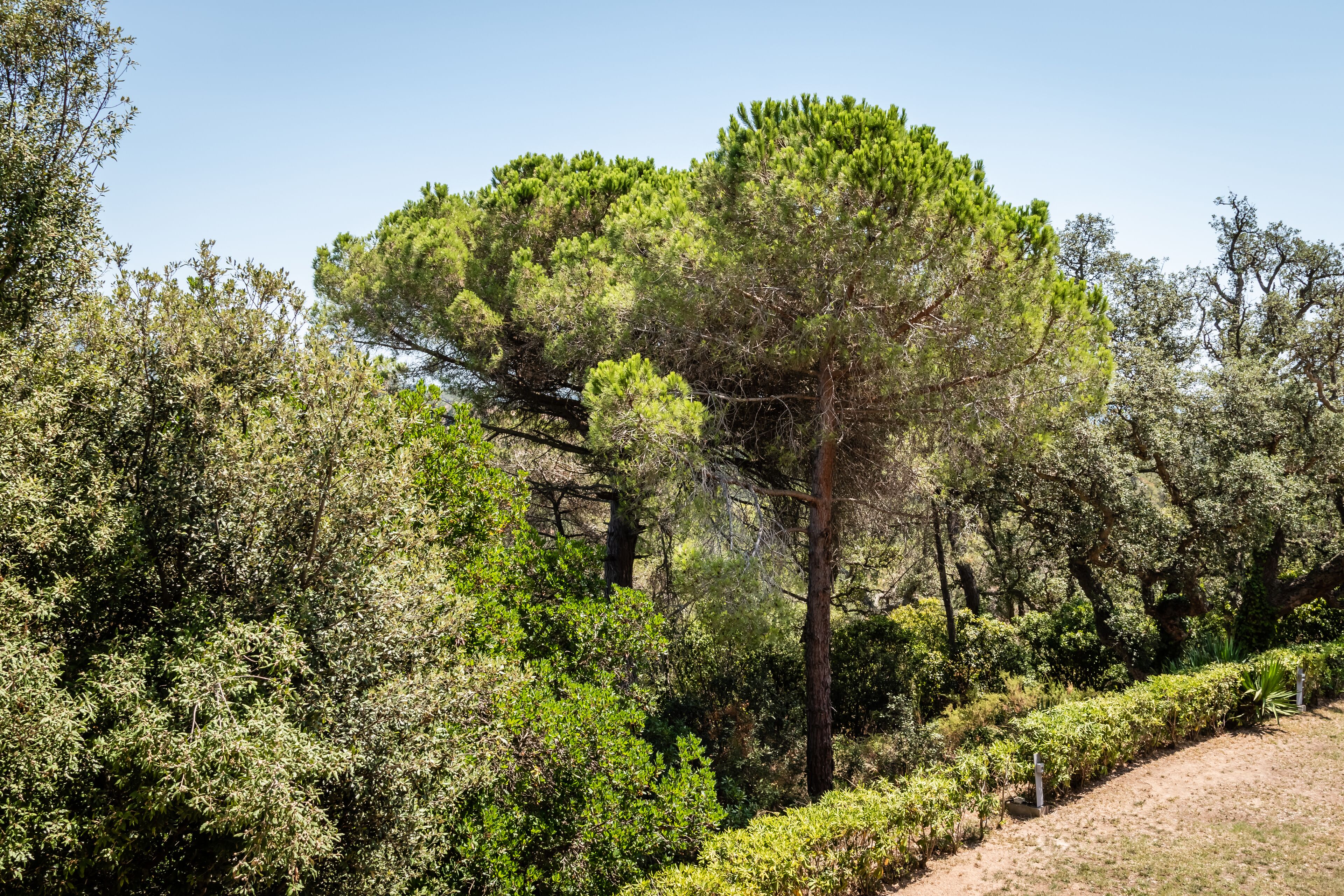 Foto - Sant Pere del Bosc Hotel & Spa - Adults Recommended