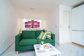 开间 (Studio Apartment with Terrace) | 客厅 | 电视