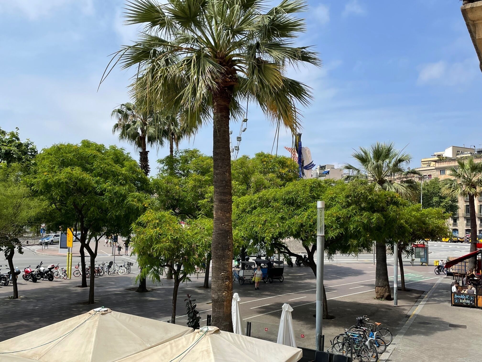 Photo - Som Nit Port Vell