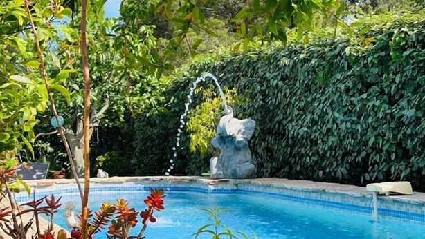 A swimming pool surrounded by lush greenery and a stone statue.