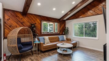 Smart TV, fireplace, computer monitors