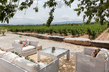 Property grounds. Lidia Rural House for Groups: Pool, Views & Unique Experiences