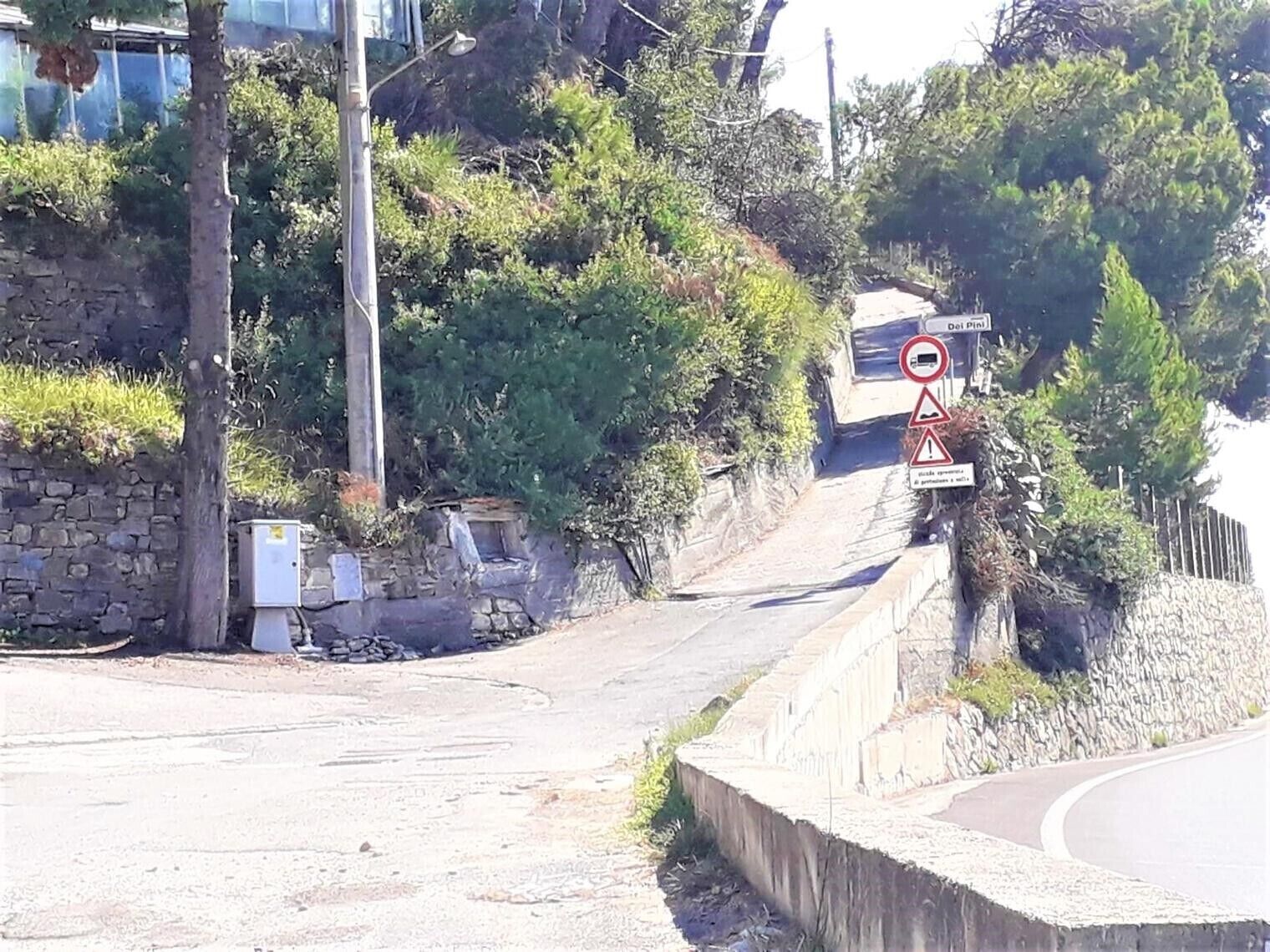 Uma estrada com uma placa de advertência, um muro de pedra e vegetação.