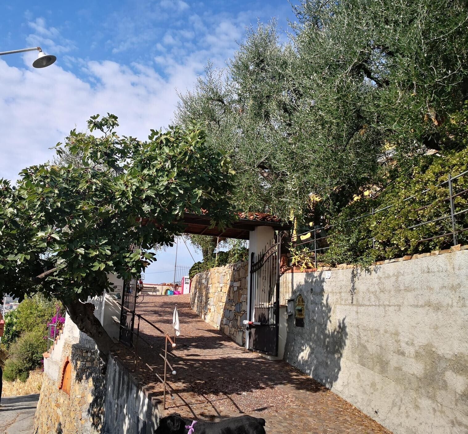 Enceinte de l’hébergement