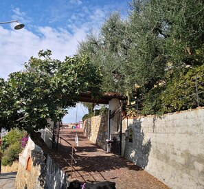 Área da propriedade