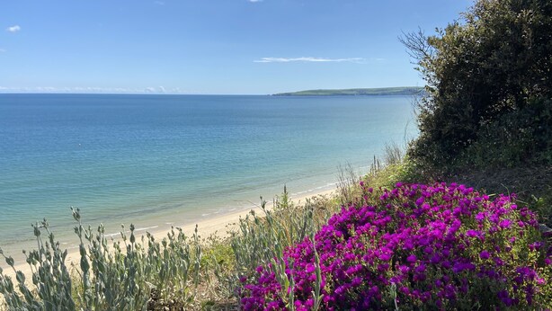 Un paisaje costero con vista despejada al mar y una playa de arena.