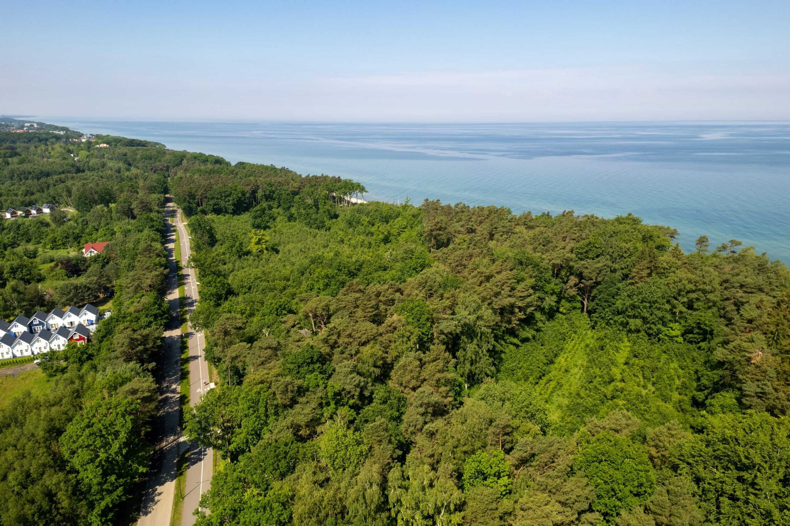 An aerial view of a coastal area with dense forest, a road, and houses along the coastline.