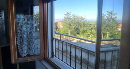 THE HOUSE OF VINCENZA