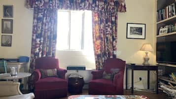 TV, fireplace, table tennis, books