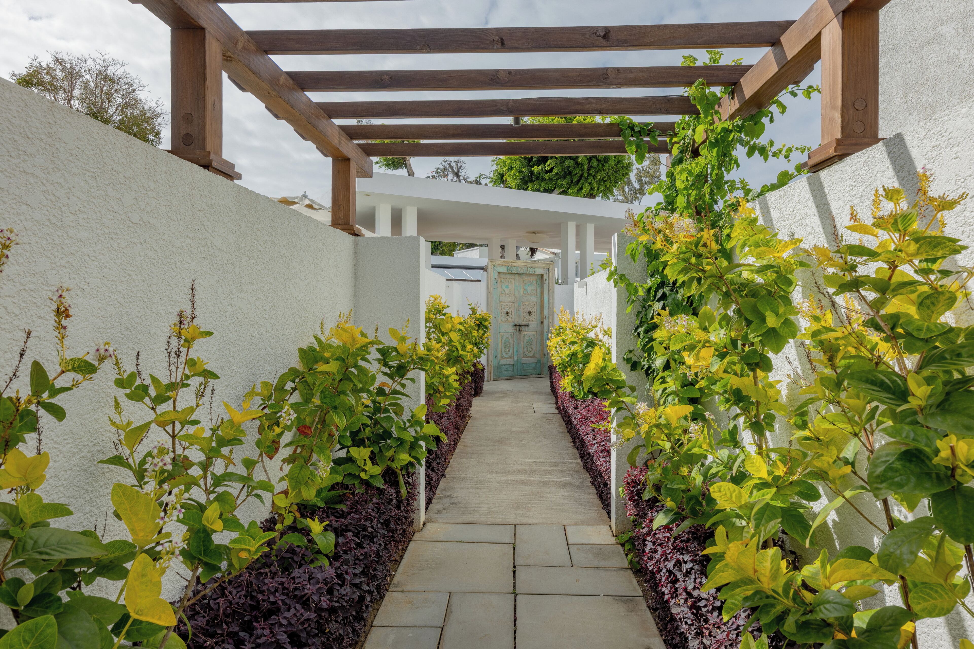 A pathway flanked by plants leading to a door with a white wall and wooden pergola overhead.