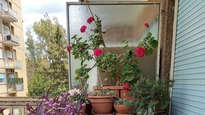 Un balcon agrémenté de plantes en pot, une chaise verte et un plancher en bois.