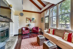TV, fireplace, books