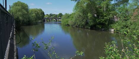 A river with a bridge in the distance, surrounded by lush greenery.