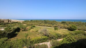 A coastal landscape with a clear view of the sea, dense greenery, and a dirt path. - Sea view cabin studio i (Saint-Cyprien)