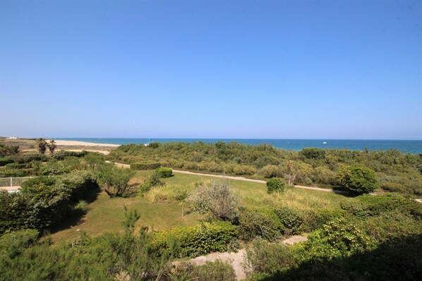 A coastal landscape with a clear view of the sea, dense greenery, and a dirt path. - Ocean View Cabin Studio I (Saint-Cyprien)