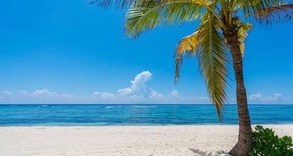Beachfront 2BR Condo on Private Spotts Beach