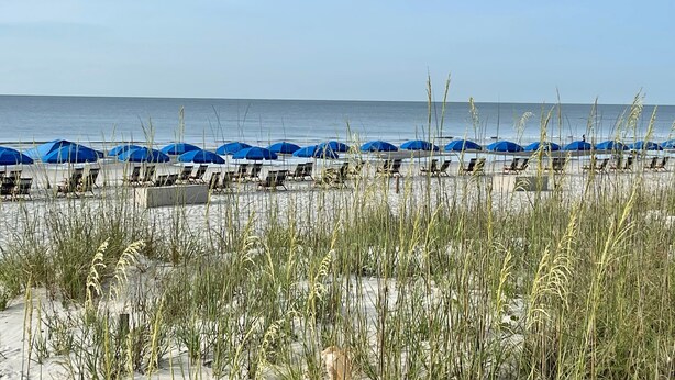 Una spiaggia con file di ombrelloni blu e sdraio.