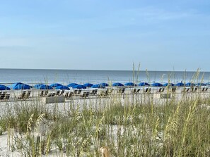Ein Strand mit blauen Sonnenschirmen und Liegestühlen.