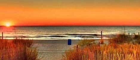 Playa en los alrededores