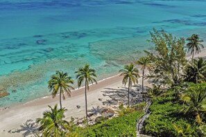 A beach with clear turquoise water, palm trees, and a sandy shore. - Newly Remodeled Beachfront Estate w/Pool, Views, Walk to Restaurant/Bar (N Palmetto Point)