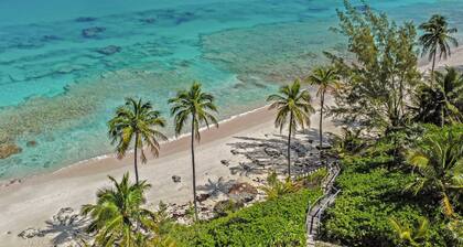 Newly Remodeled Beachfront Estate w/Pool, Views, Walk to Restaurant/Bar