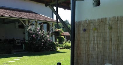 Charming, comfortable studio with jacuzzi