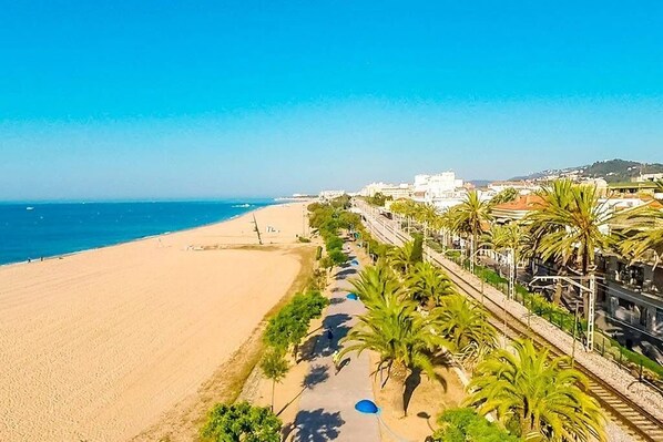 A beach with a pathway lined with palm trees and a train track on the right.