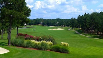 Golfe