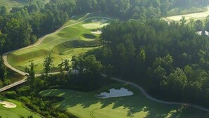 Ein Golfplatz mit einer Brücke, umgeben von dichtem Baumbestand.