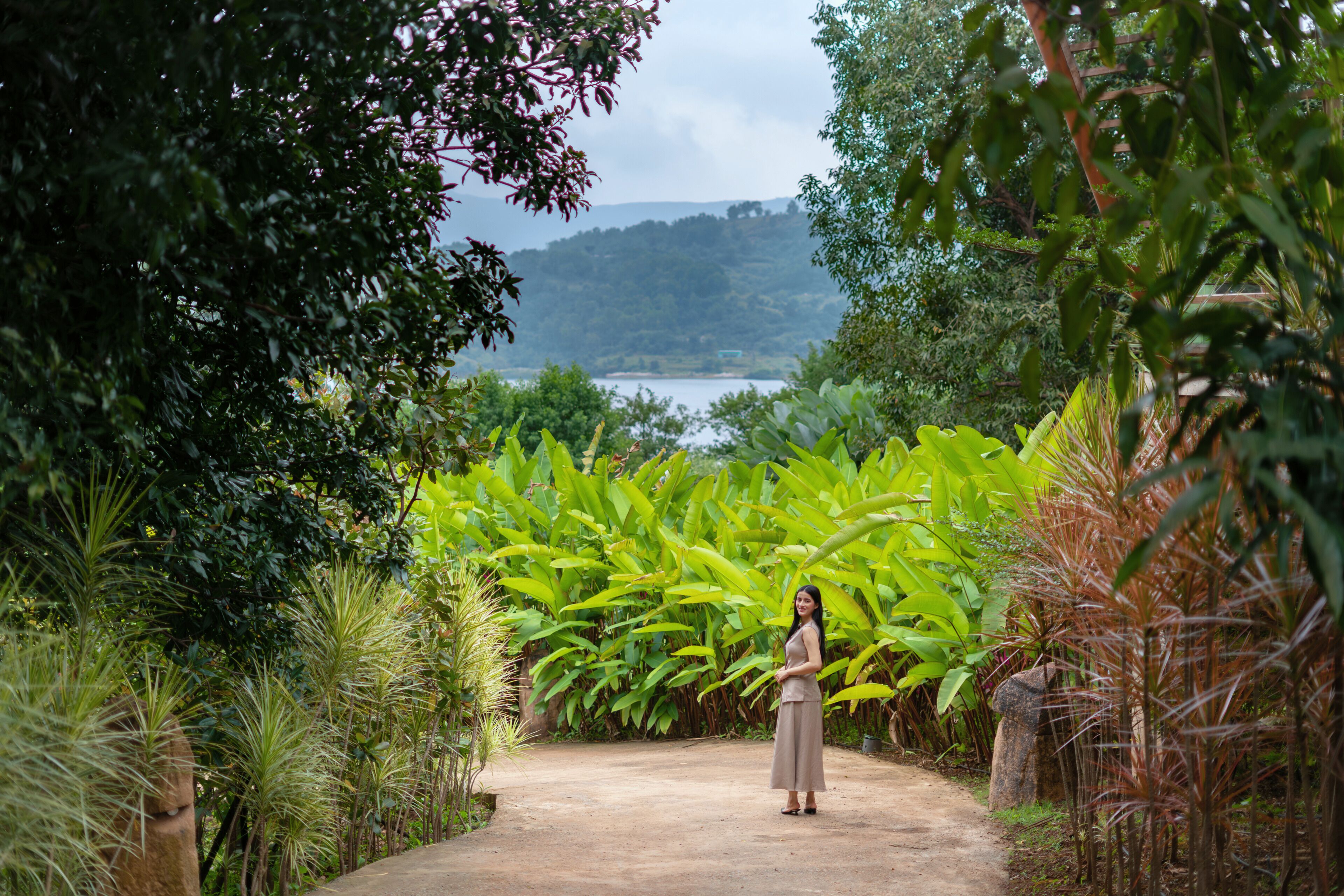 A pathway surrounded by lush greenery and a view of a lake.