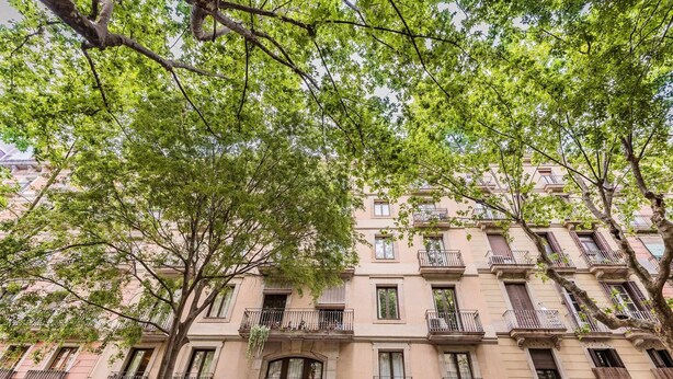 A multi-story building with balconies, a ground-floor entrance, and a tree in the foreground.