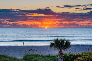A beach with a sunset, ocean, and a palm tree.