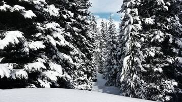 3 camere, ferro/asse da stiro, Wi-Fi gratuito, lenzuola