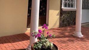 Une entrée d’immeuble avec des colonnes blanches, un chemin pavé en briques et un pot de fleurs contenant des plantes aux fleurs violettes.