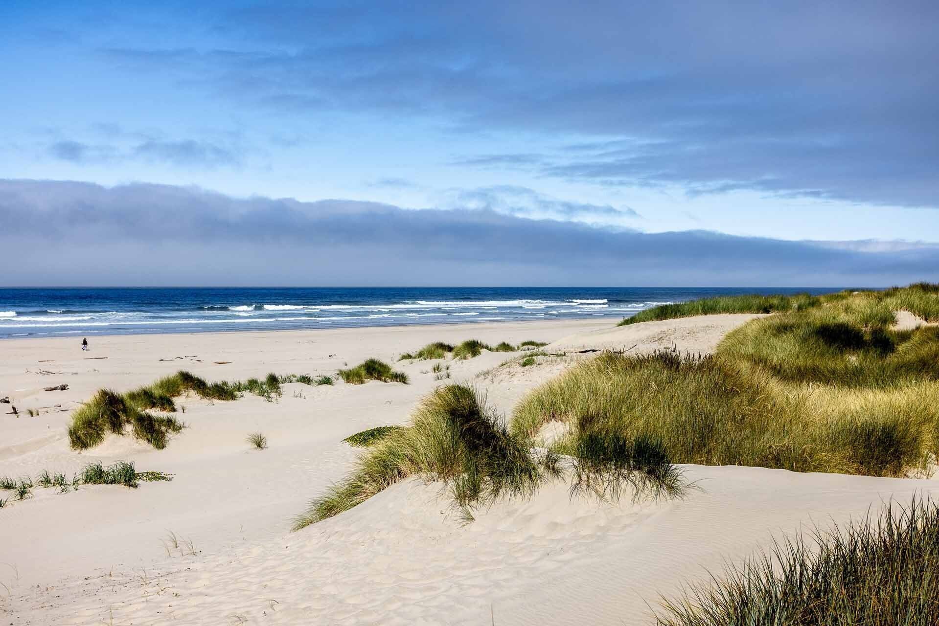 A beach with sand dunes and grass, overlooking the ocean.