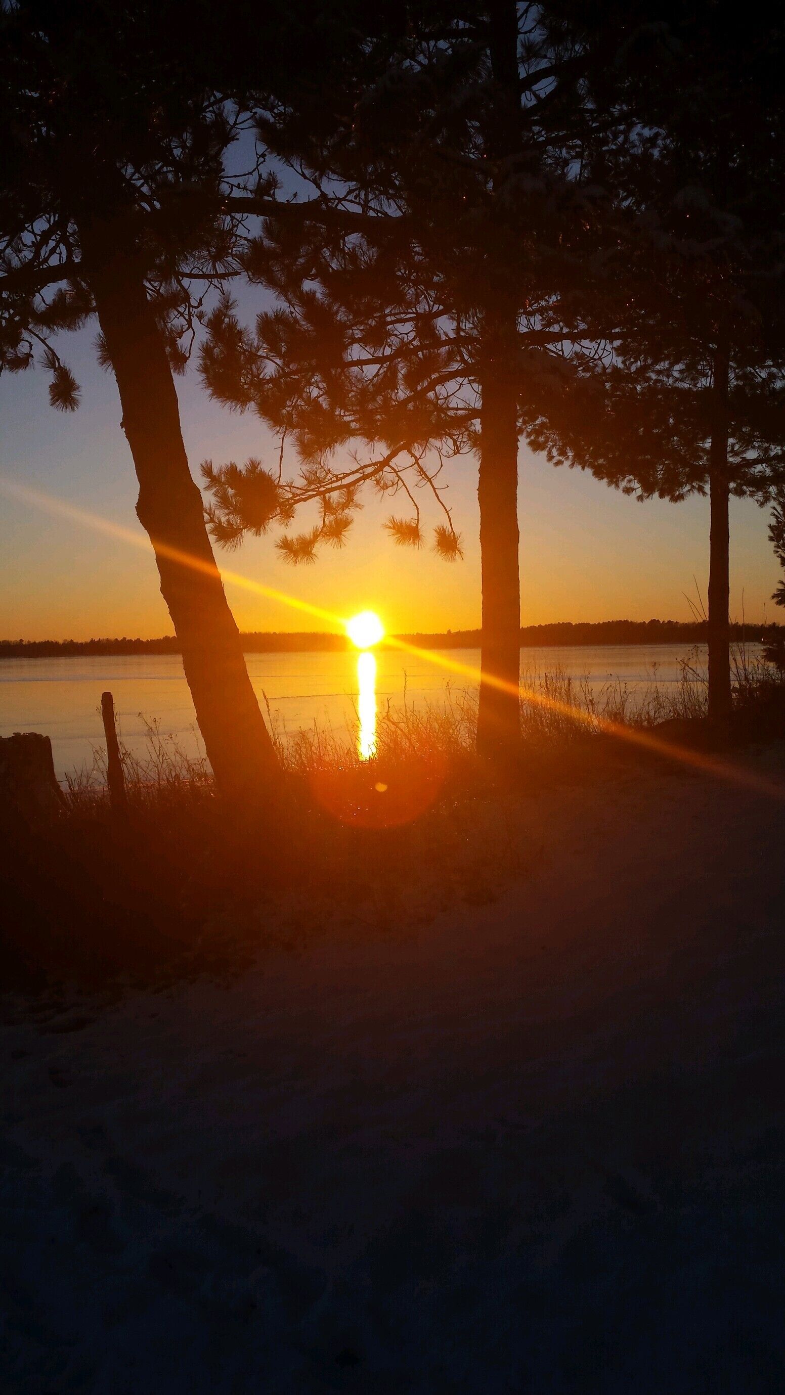 Rare rustic log home located on Willow Flowage