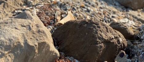 A rocky beach with large boulders and scattered shells.