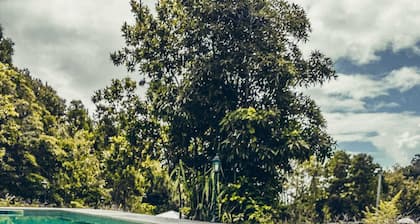 Quinta do Abacate, Terceira Island