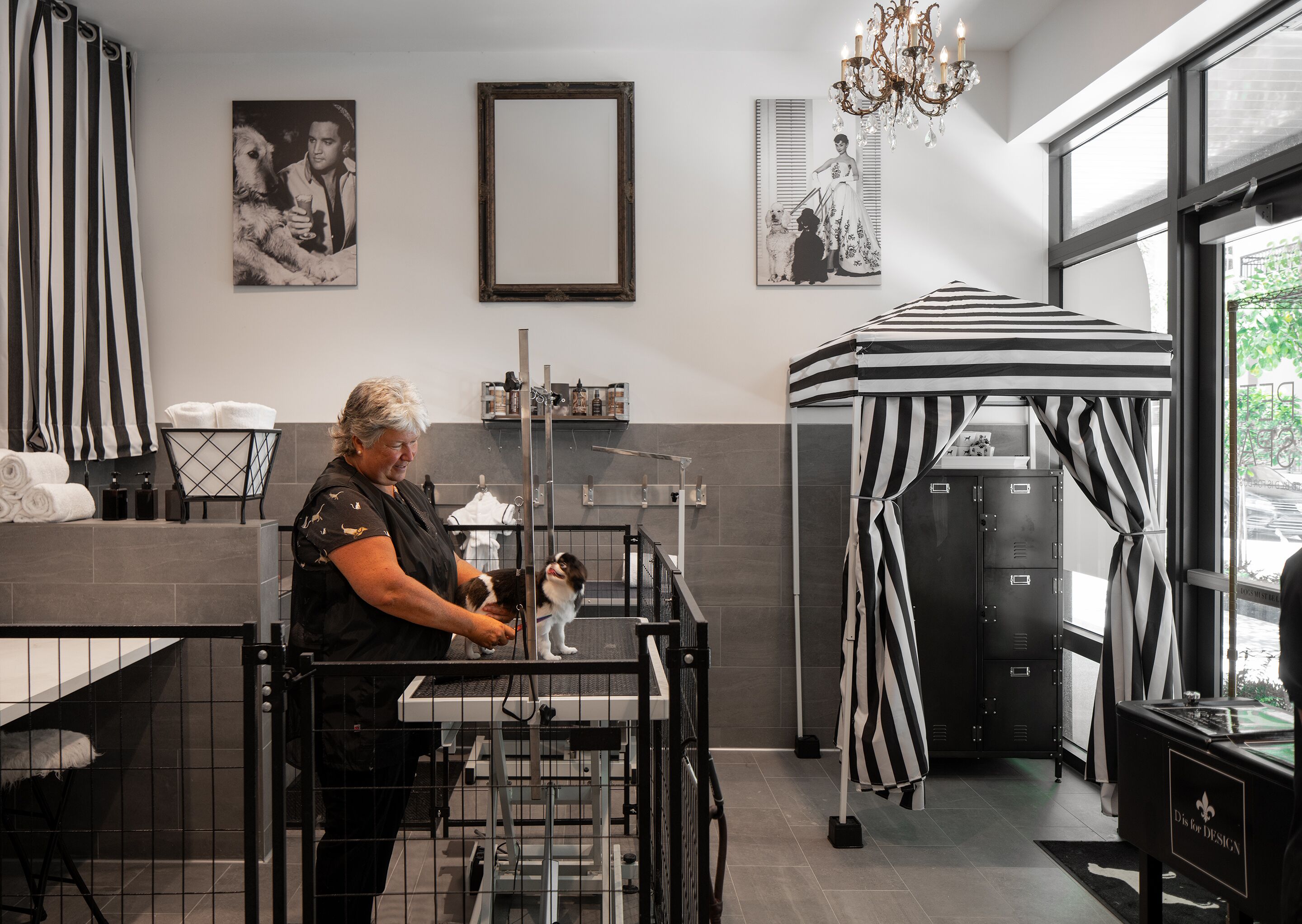 Pet-friendly amenities
