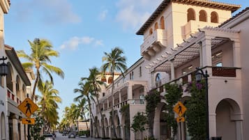 Una calle bordeada de palmeras y edificios históricos con ventanas y balcones de arco.